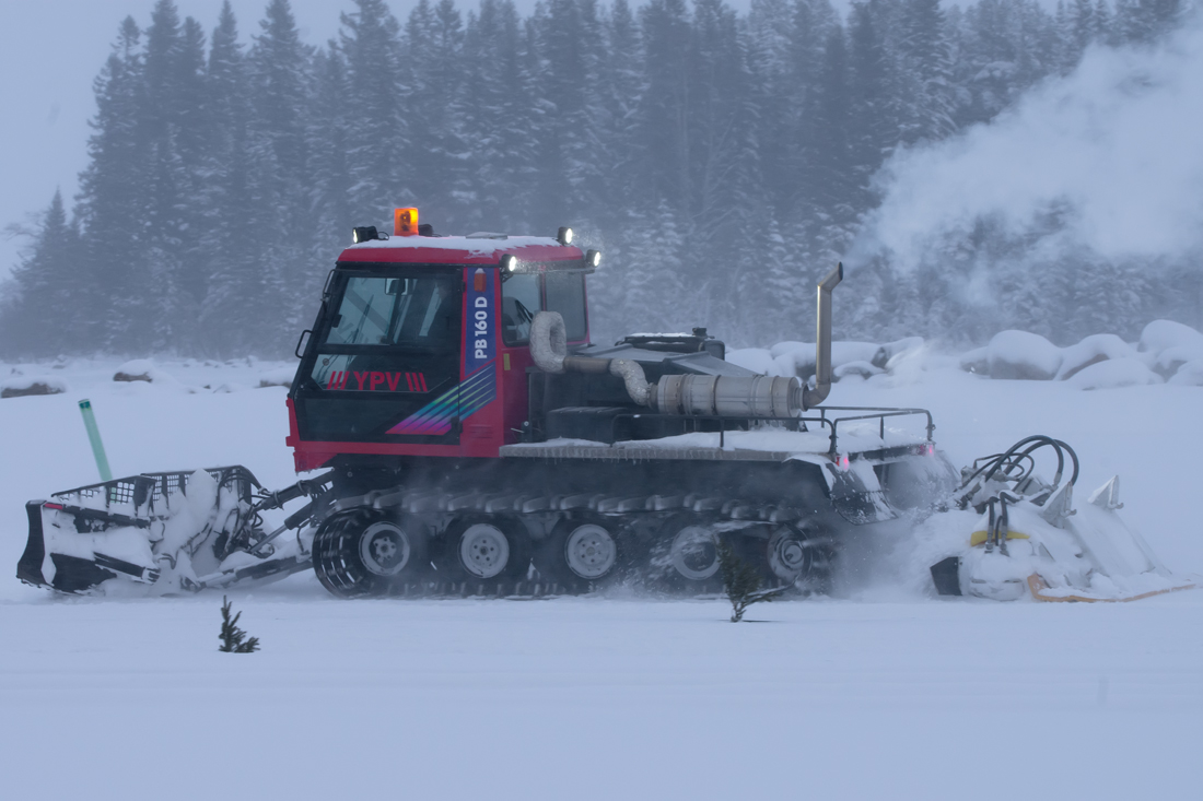 Burkarcupen 2019