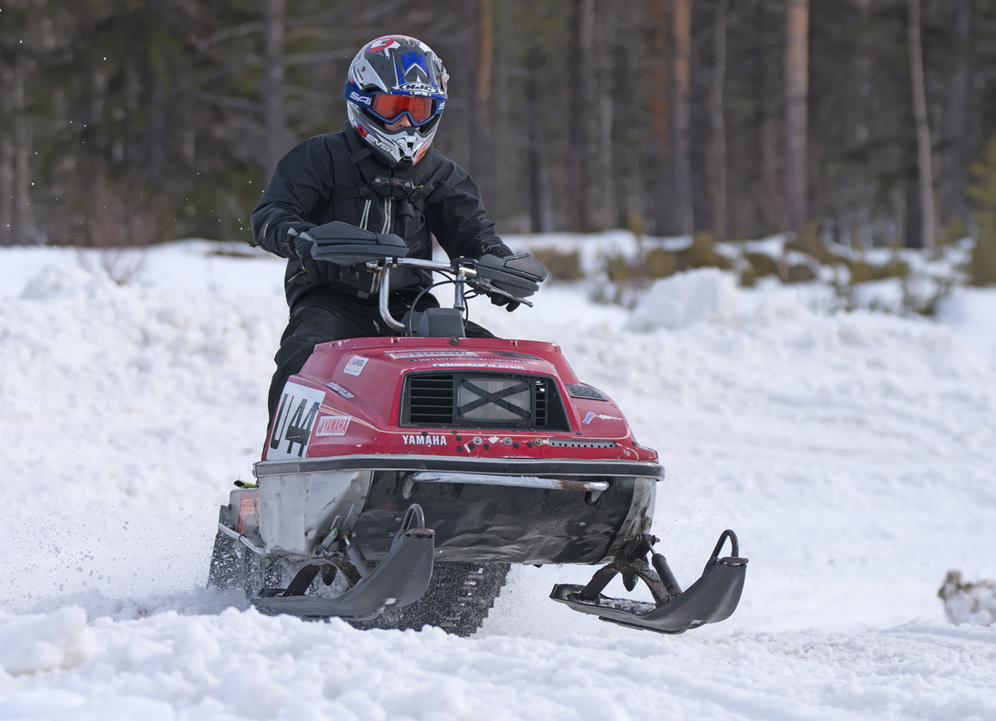 Burkarcupen 2019