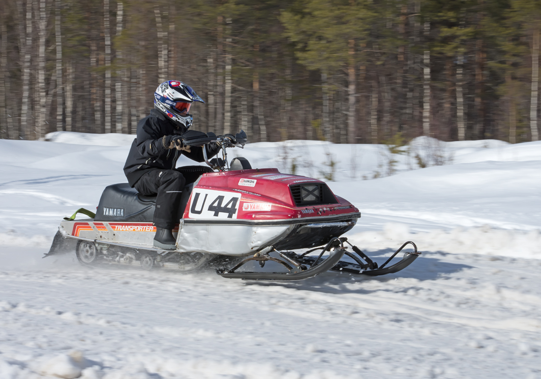 Burkarcupen 2019