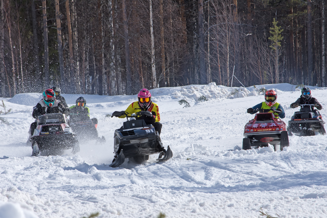 Burkarcupen 2019