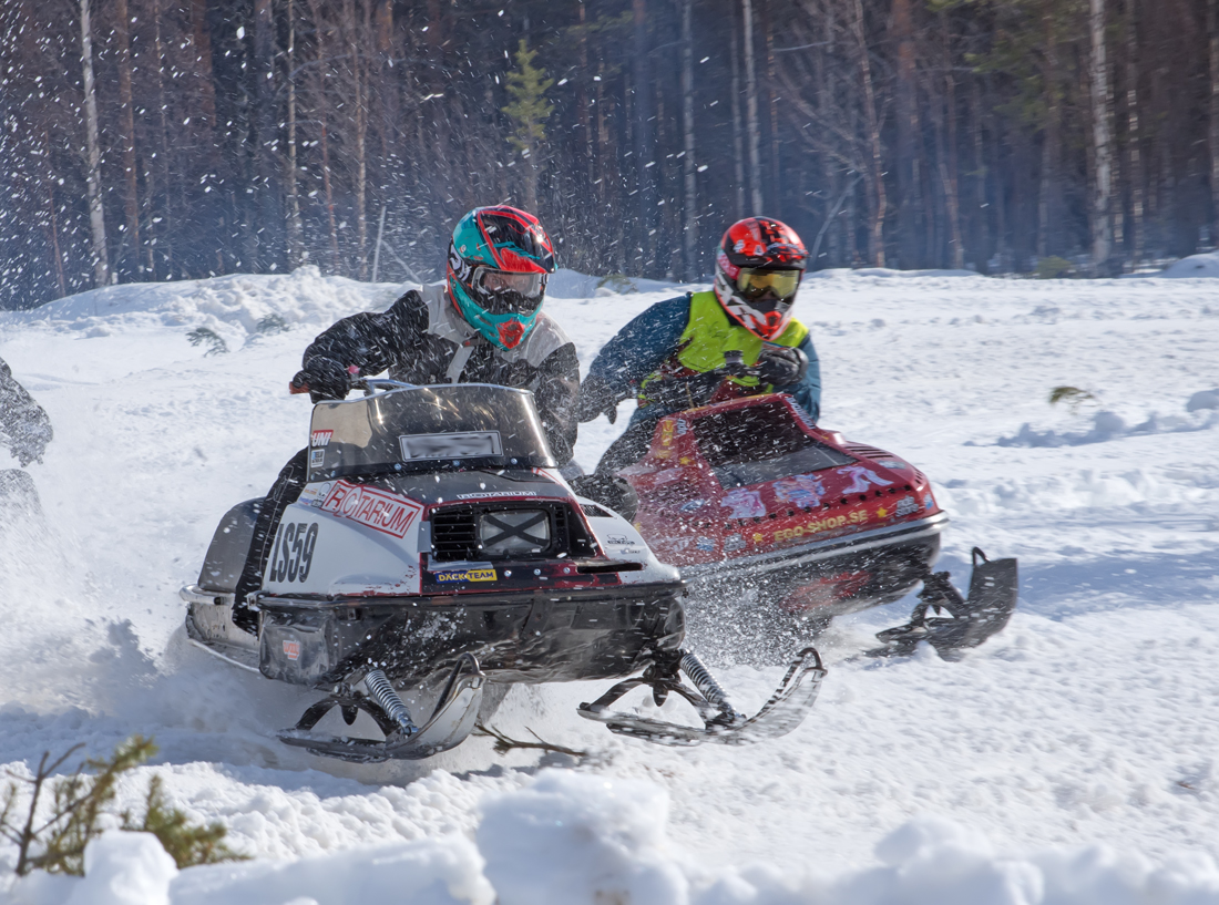 Burkarcupen 2019