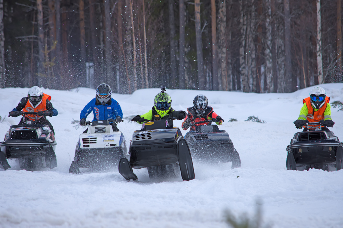 Burkarcupen 2019