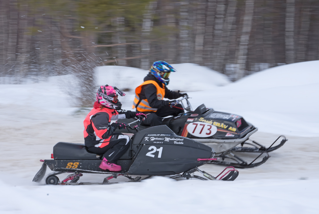 Burkarcupen 2019