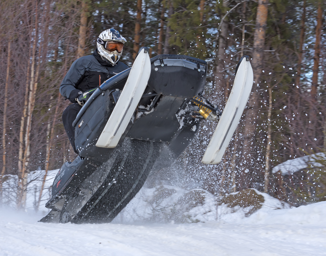 Burkarcupen 2019