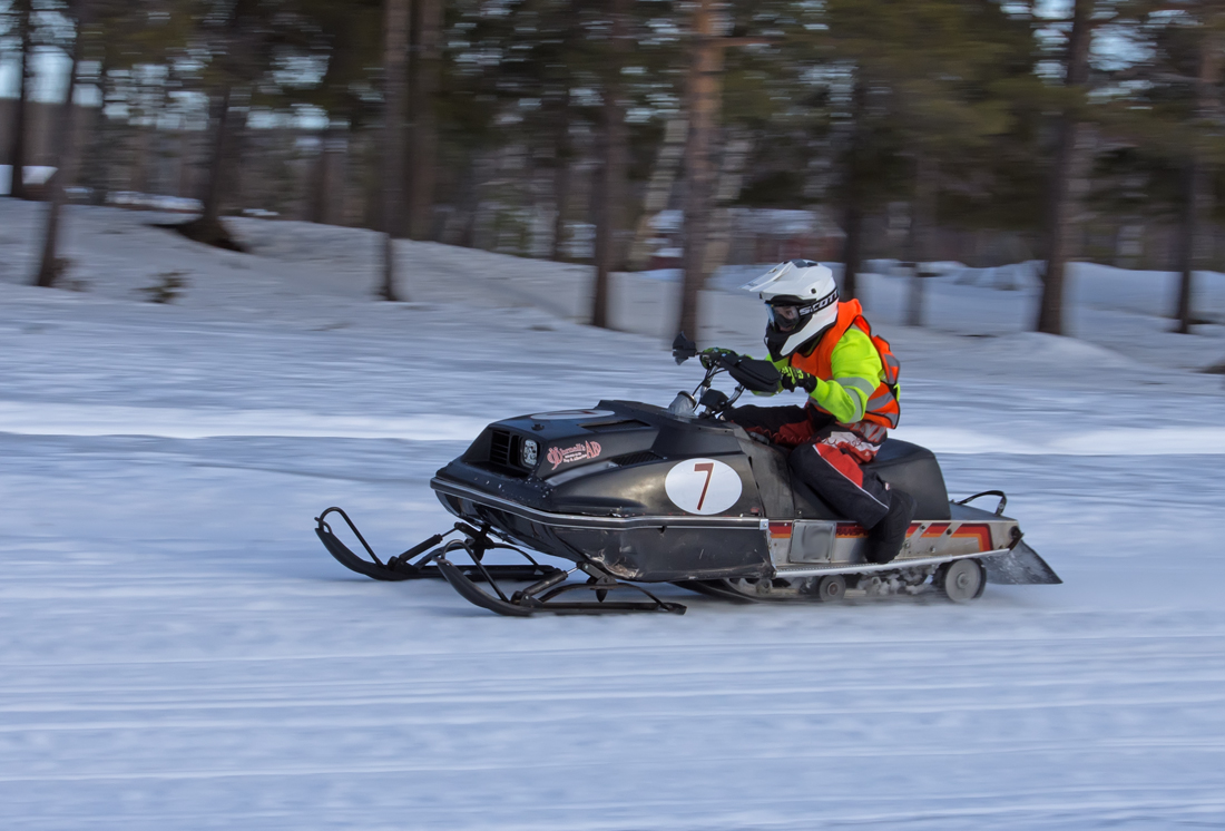 Burkarcupen 2019