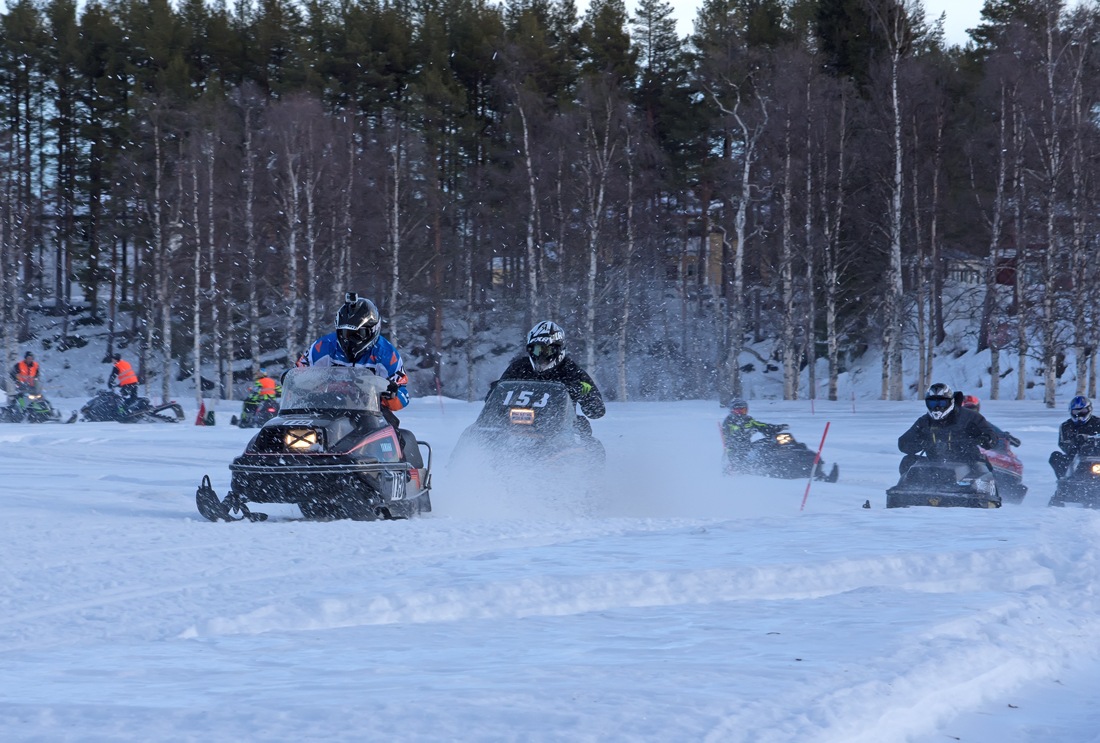Burkarcupen 2019