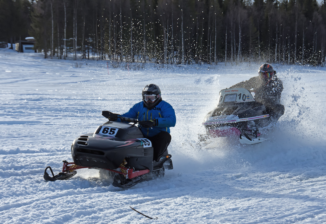 Burkarcupen 2019