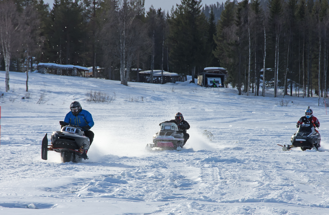 Burkarcupen 2019