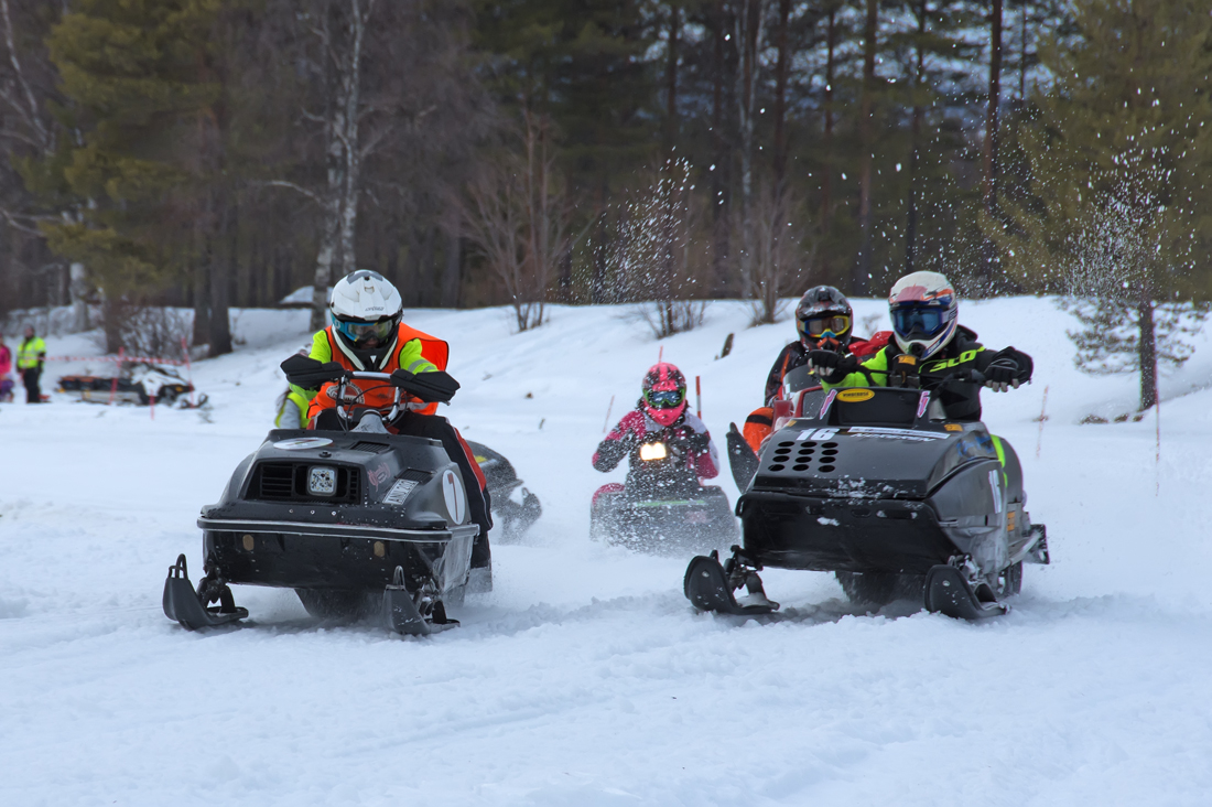 Burkarcupen 2019