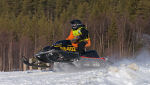 Burkarcupen 2018