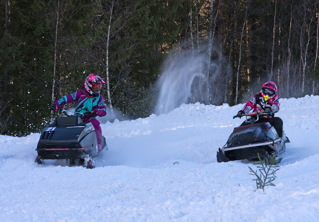 Burkarcupen 2019
