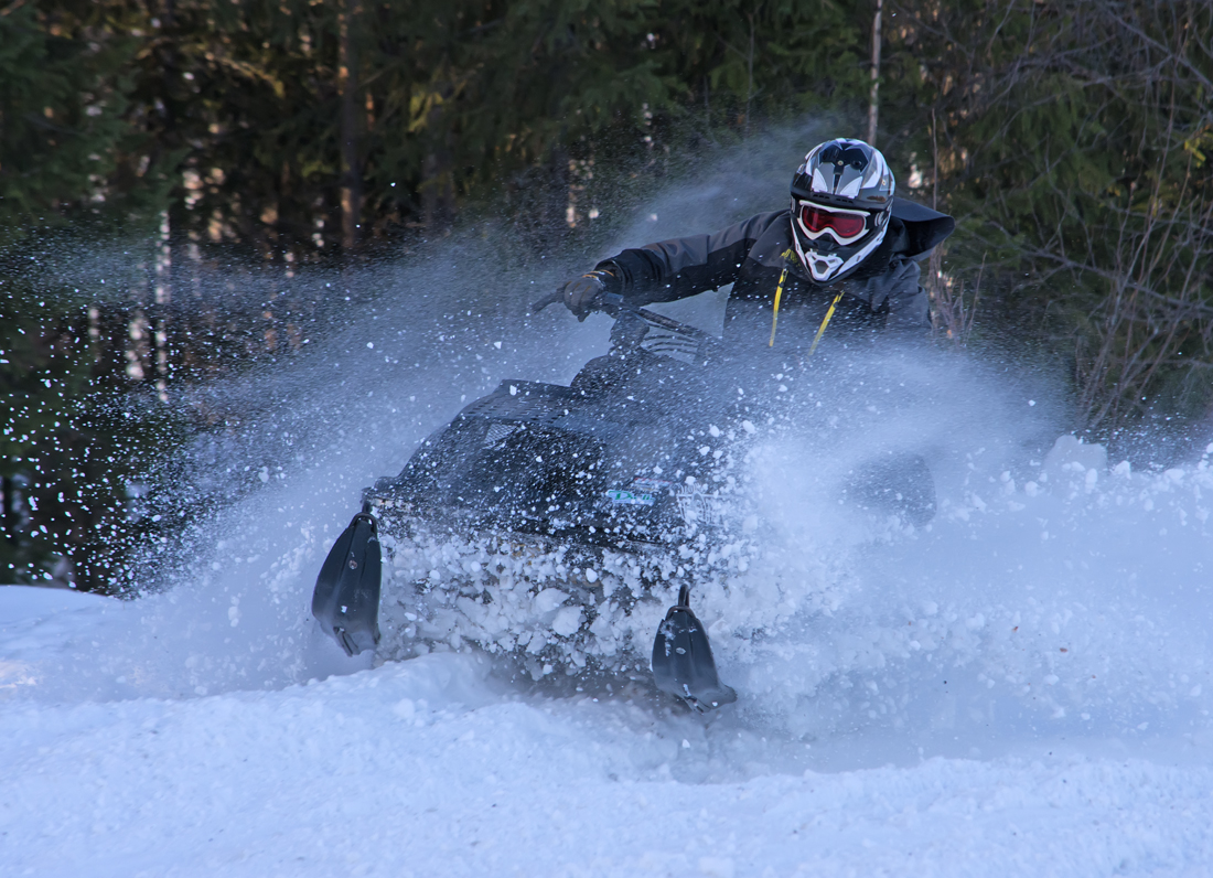 Burkarcupen 2019