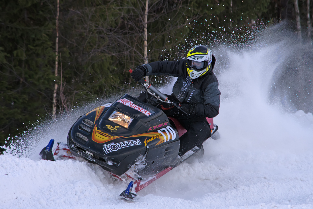 Burkarcupen 2019