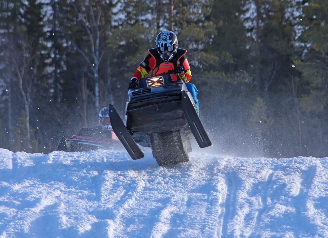 Burkarcupen 2019