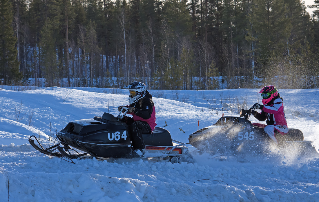 Burkarcupen 2019