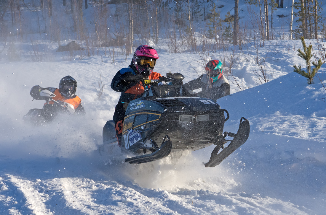 Burkarcupen 2019