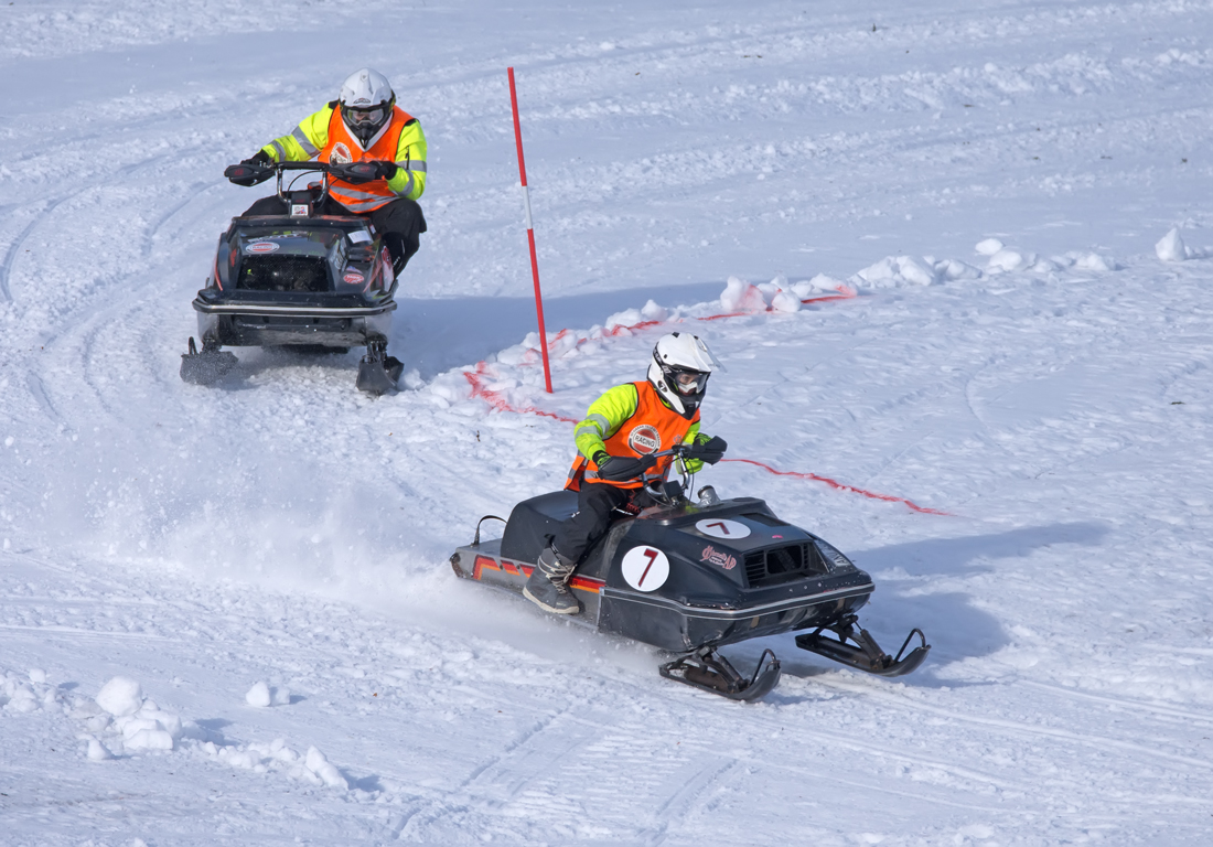 Burkarcupen 2019
