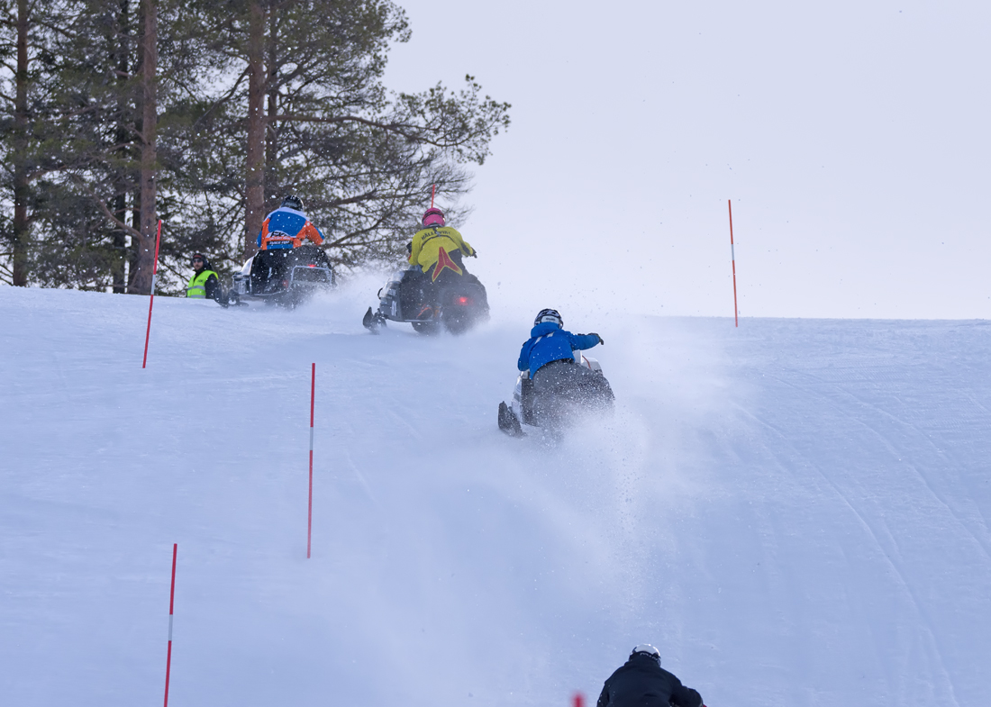Burkarcupen 2019