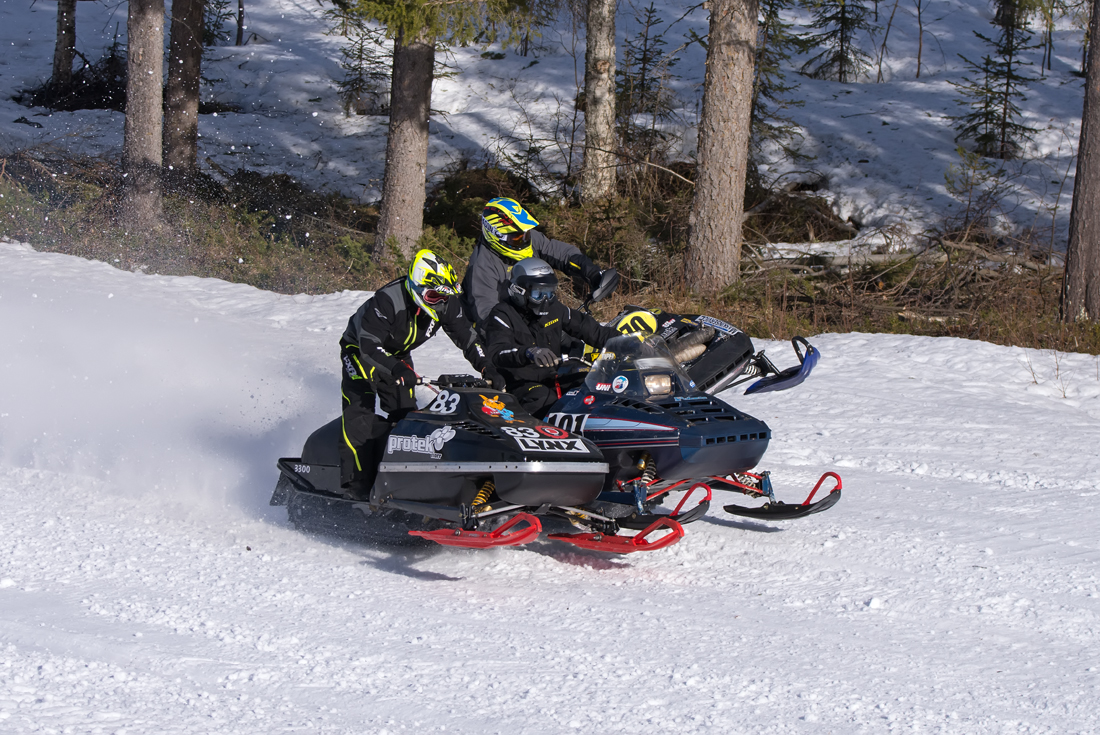 Burkarcupen 2019