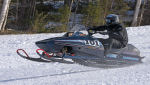 Burkarcupen 2019