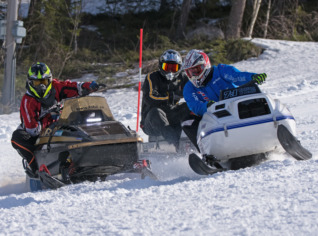 Burkarcupen 2019