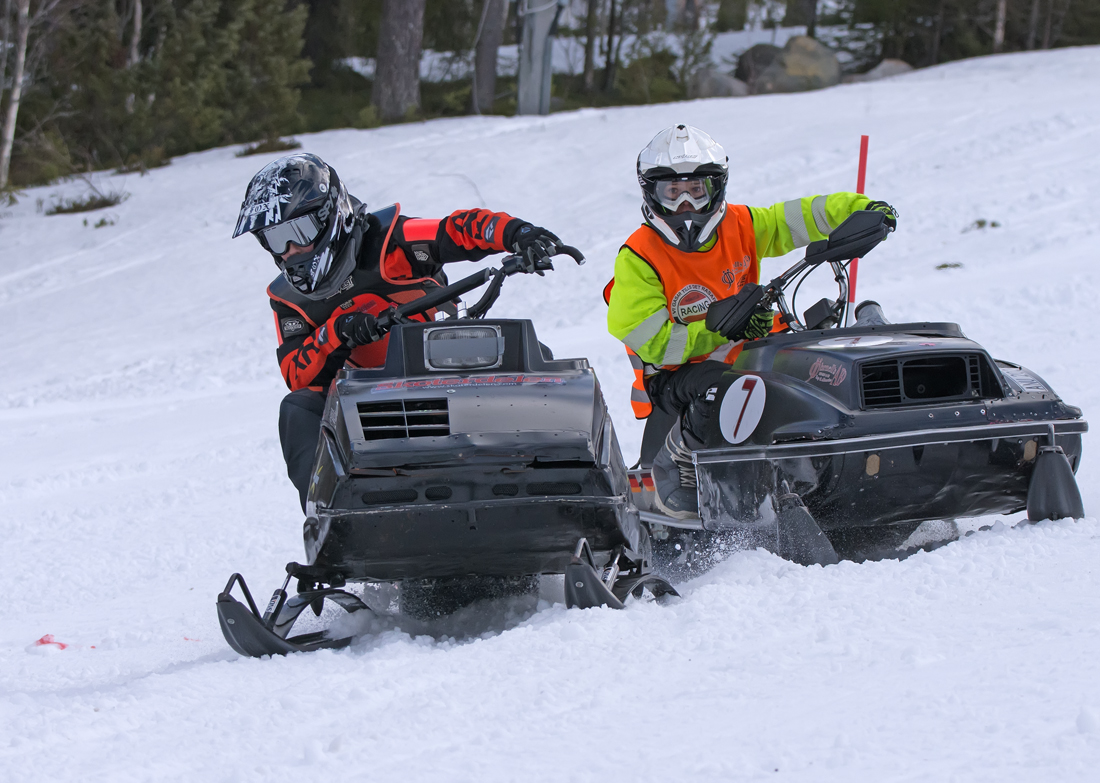 Burkarcupen 2019