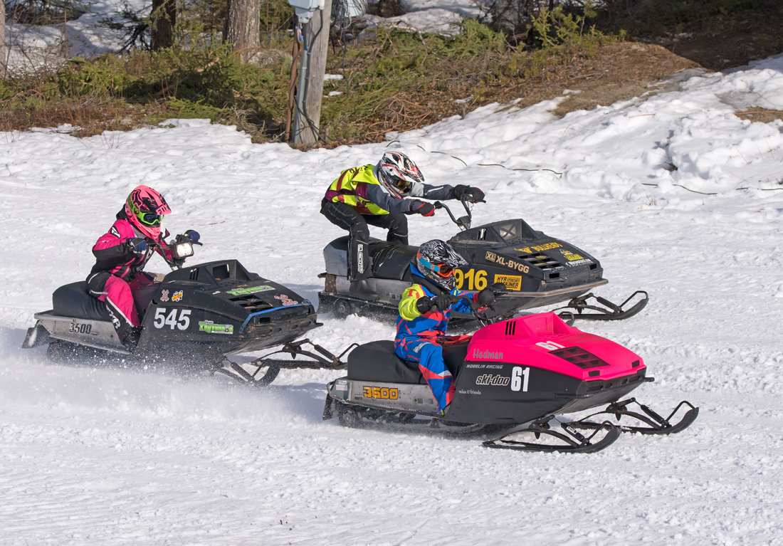 Burkarcupen 2019