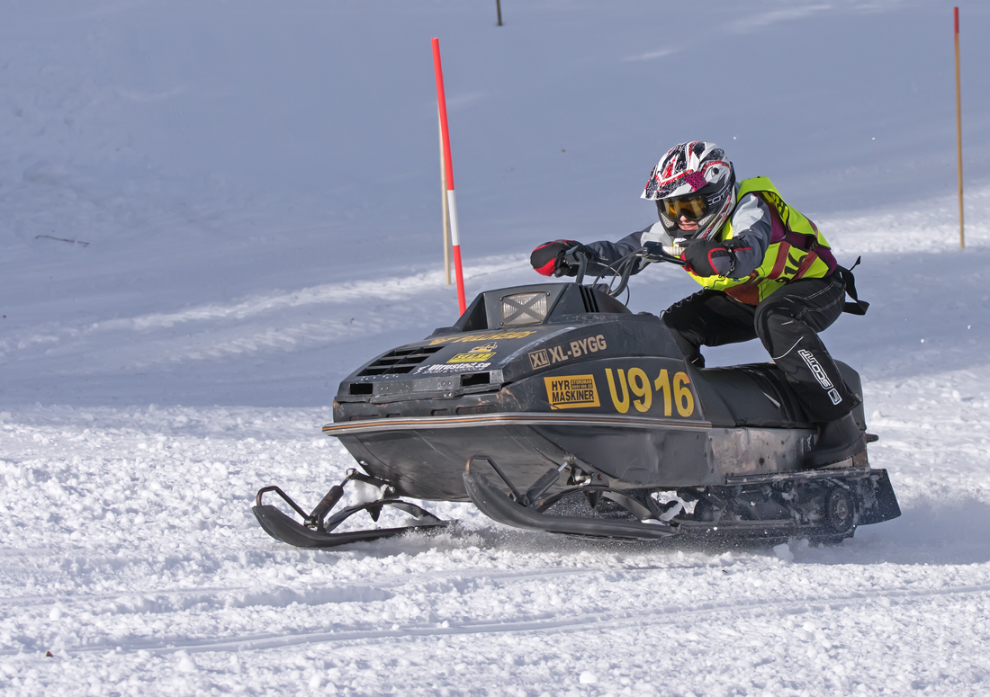 Burkarcupen 2019