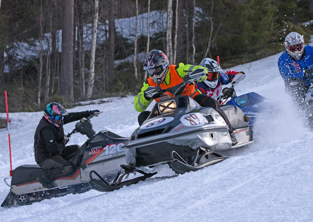 Burkarcupen 2019