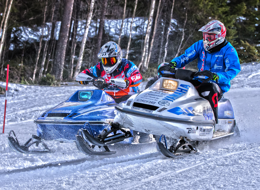 Burkarcupen 2019