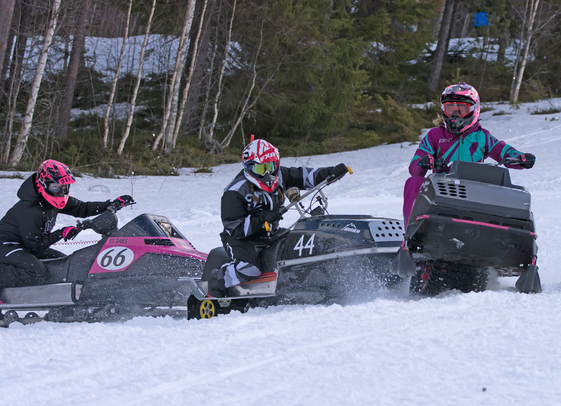 Burkarcupen 2019