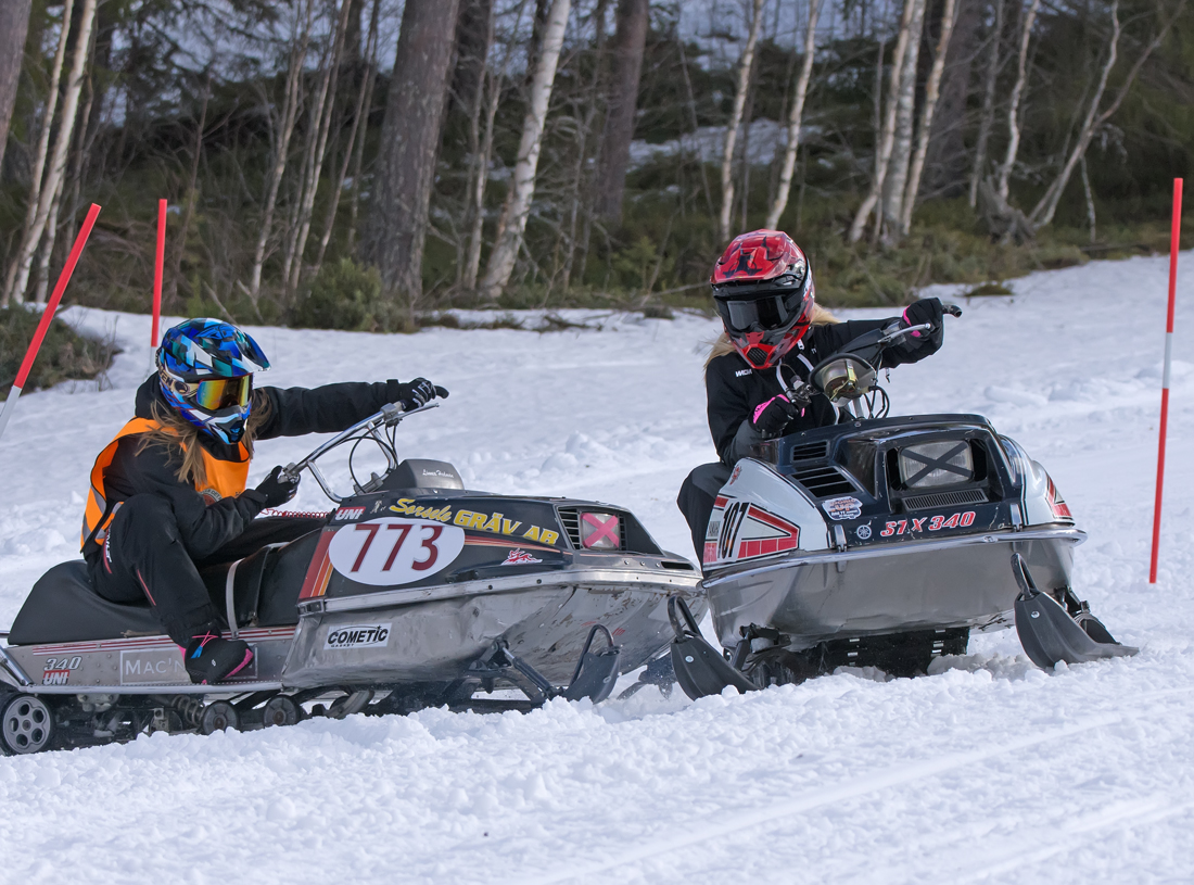 Burkarcupen 2019