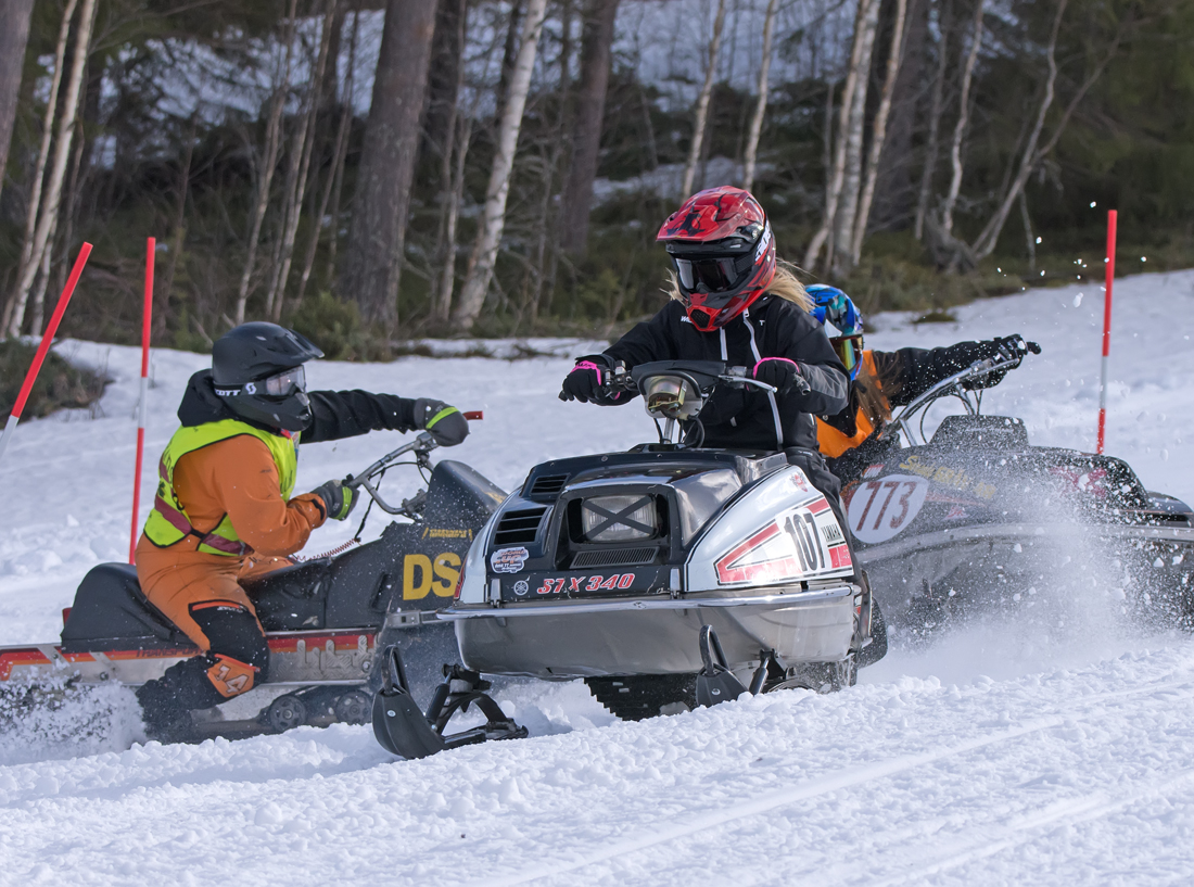 Burkarcupen 2019