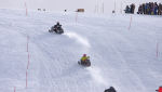 Burkarcupen 2019