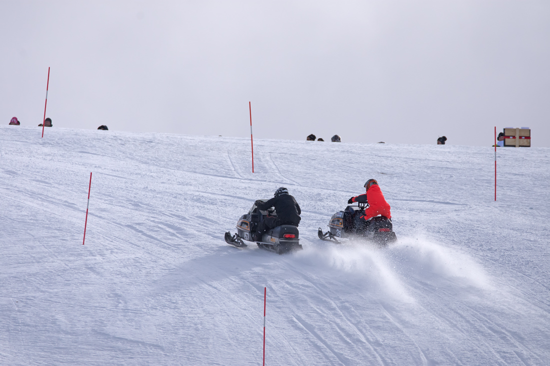 Burkarcupen 2019