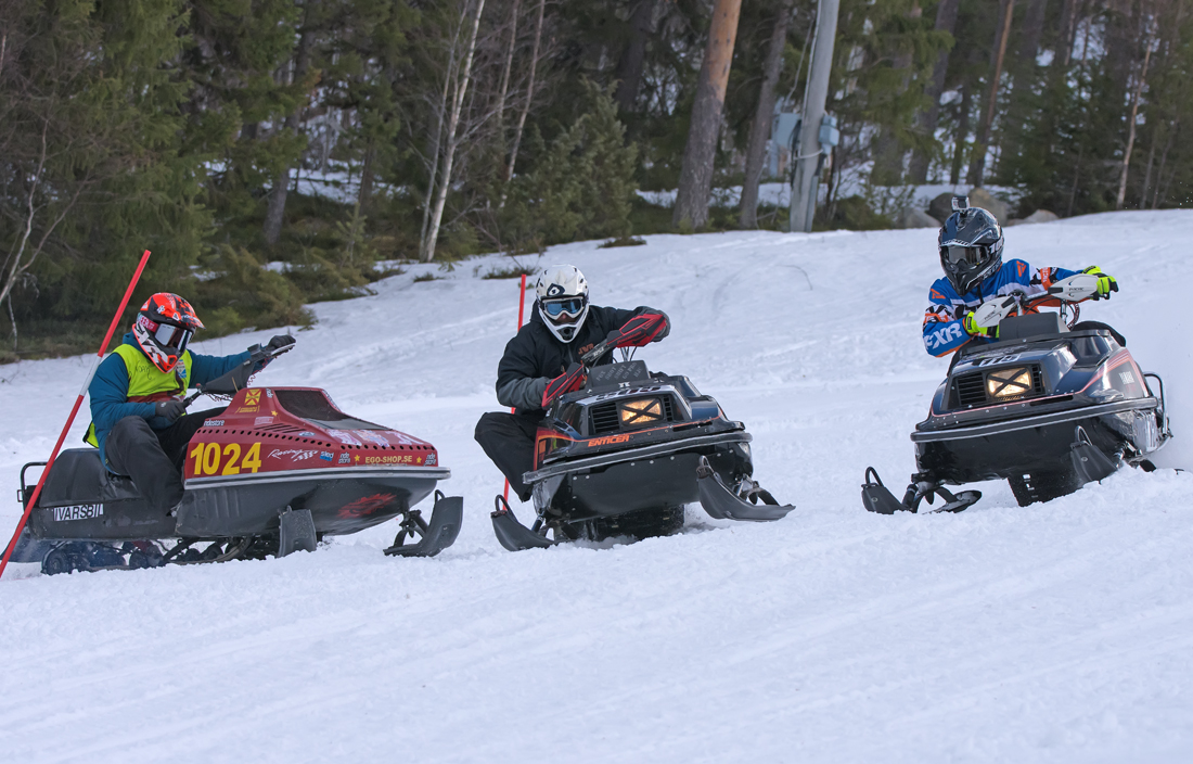 Burkarcupen 2019