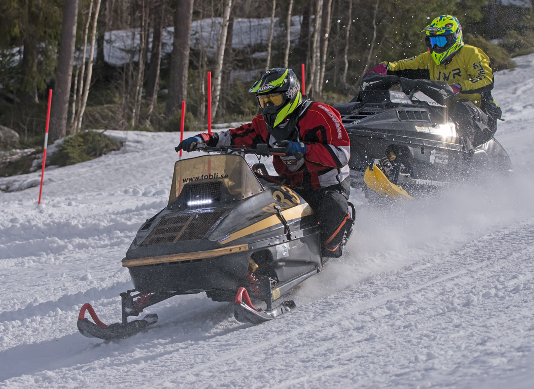 Burkarcupen 2019