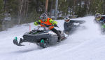 Burkarcupen 2019