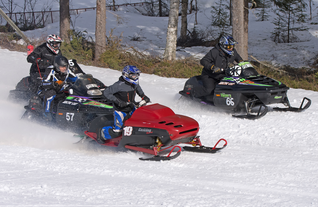 Burkarcupen 2019