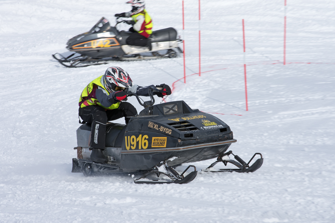 Burkarcupen 2019