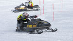 Burkarcupen 2019