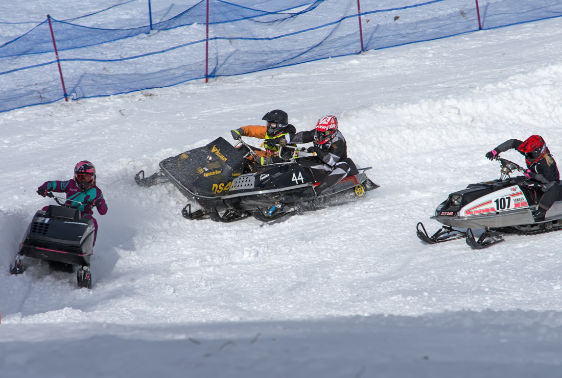 Burkarcupen 2019