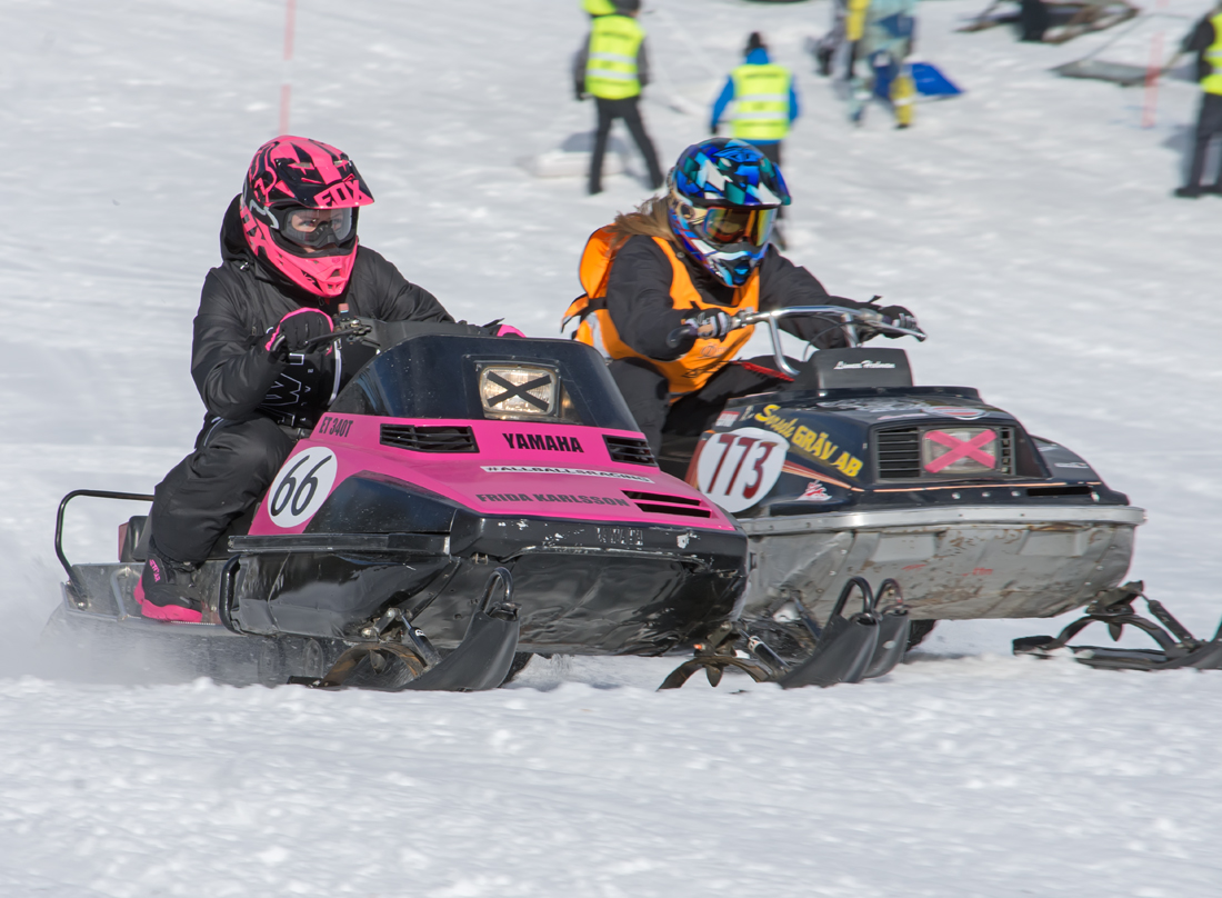 Burkarcupen 2019