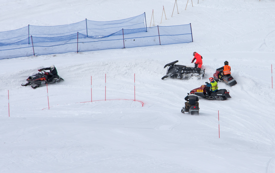Burkarcupen 2019