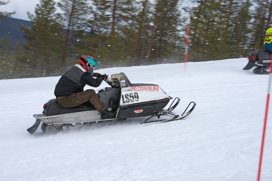 Burkarcupen 2019