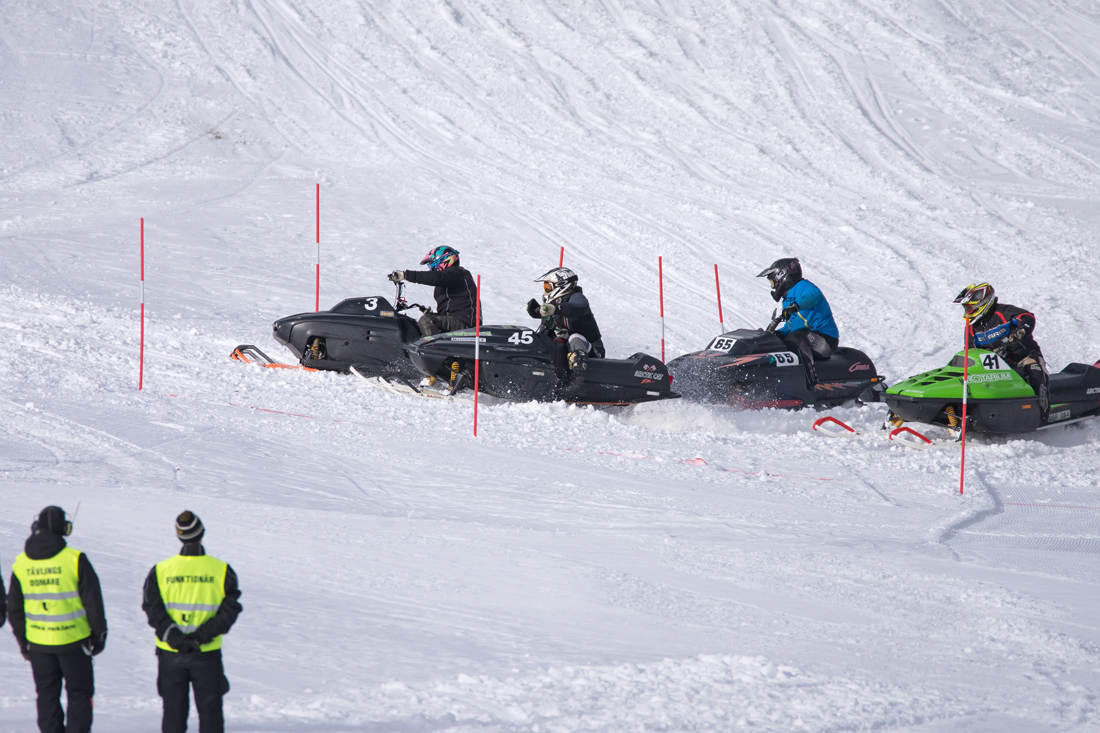 Burkarcupen 2019
