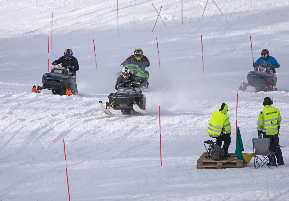 Burkarcupen 2019