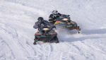 Burkarcupen 2019